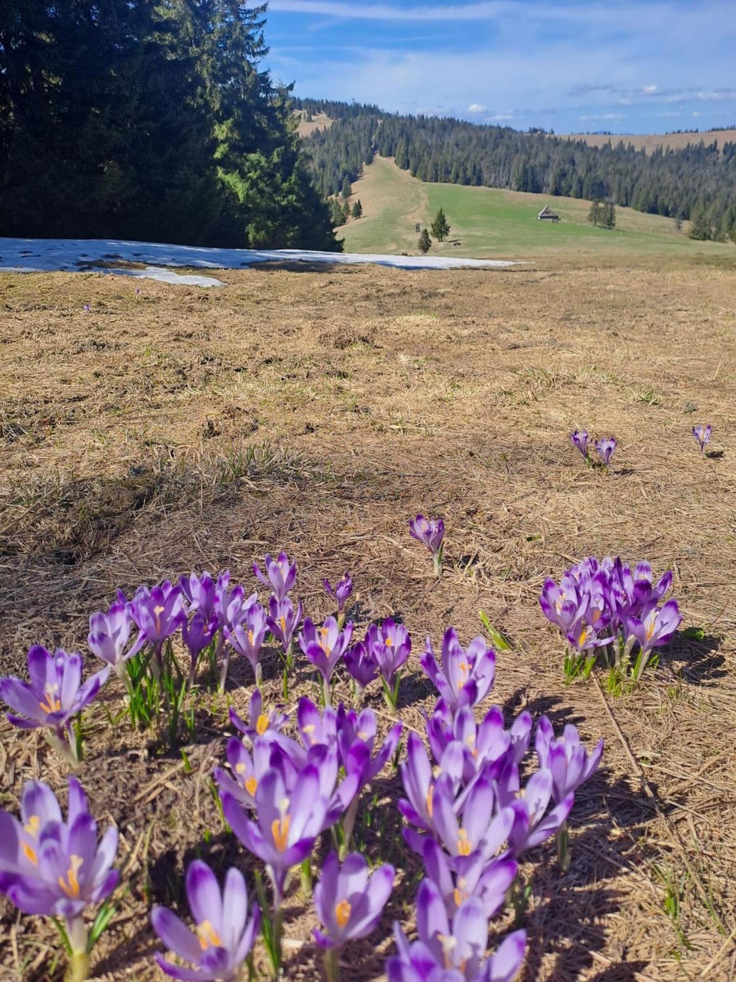 Pod Lubaniem * Ochotnica Dolna