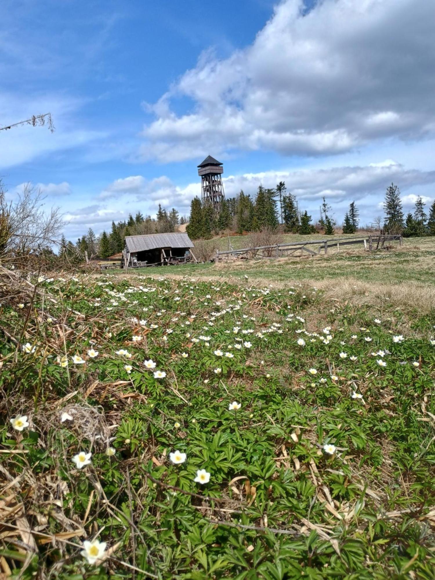 Ferienhaus Pod Lubaniem