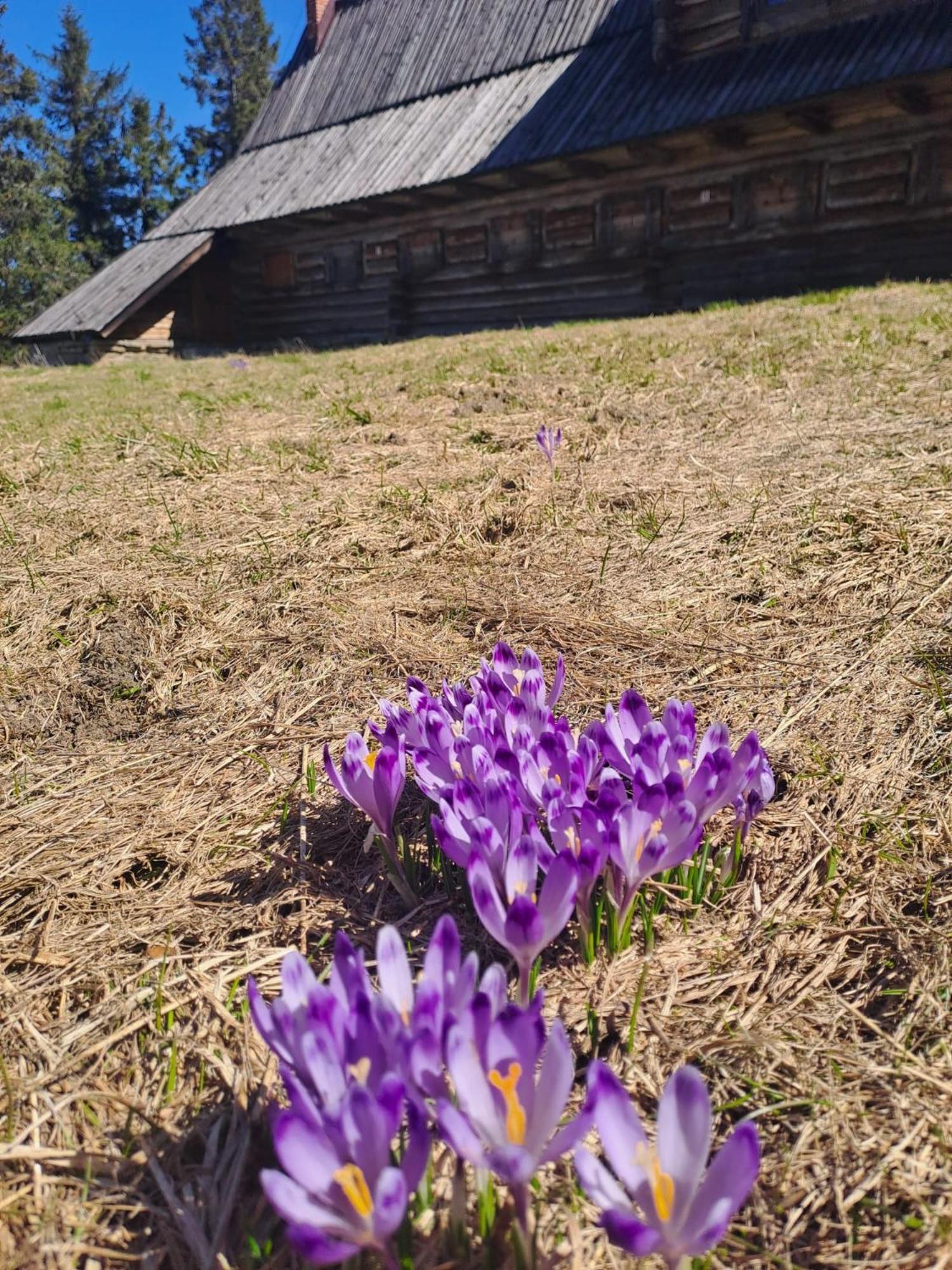 Pod Lubaniem Ochotnica Dolna